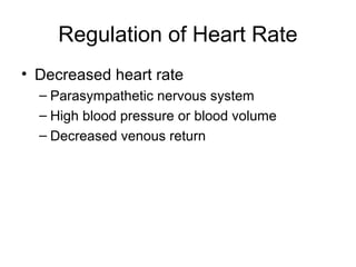 Regulation of Heart Rate
• Decreased heart rate
– Parasympathetic nervous system
– High blood pressure or blood volume
– Decreased venous return
 
