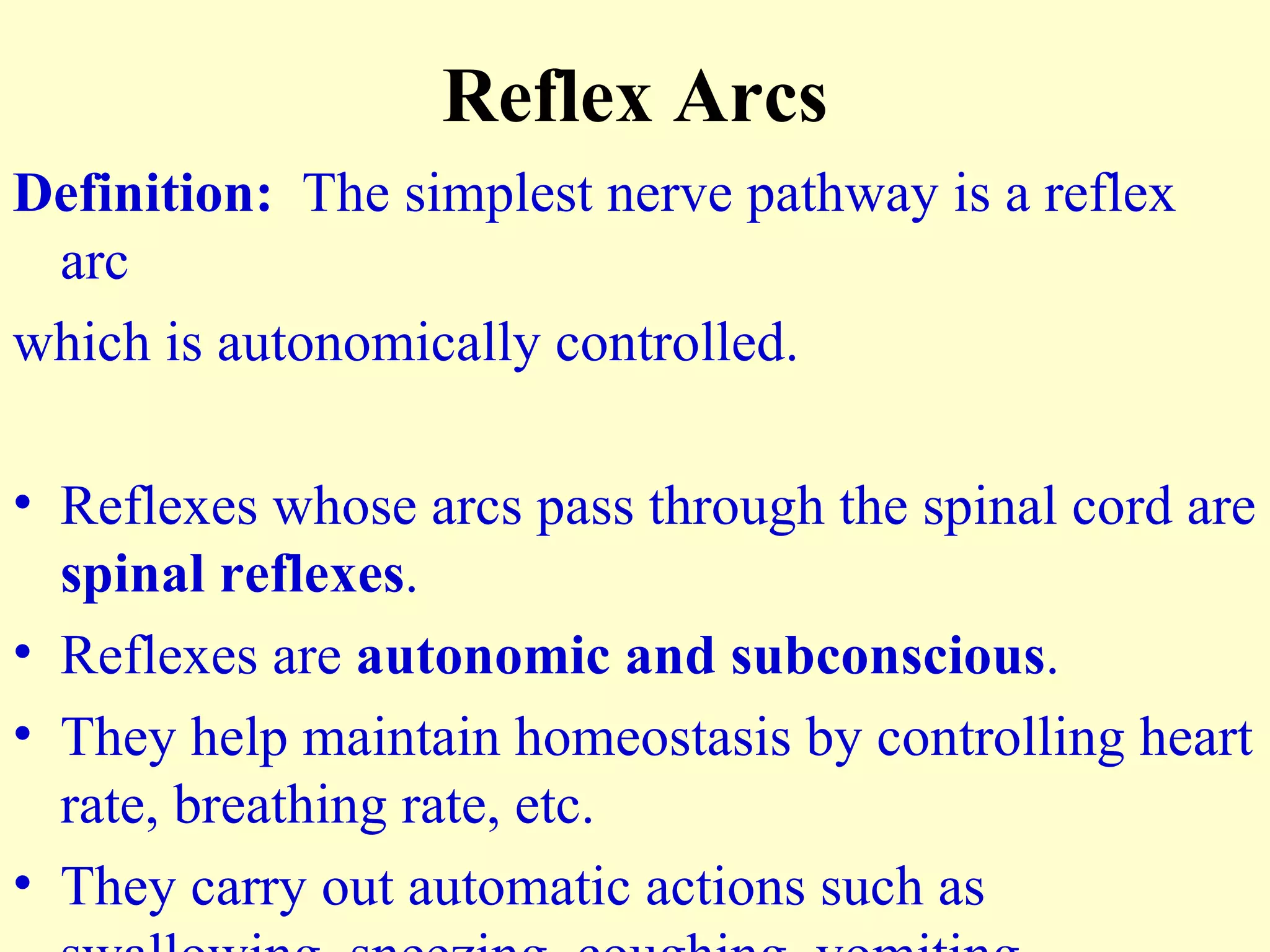 Reflex Arcs Definition:   The simplest nerve pathway is a reflex arc which is autonomically controlled. Reflexes whose arcs pass through the spinal cord are  spinal reflexes . Reflexes are  autonomic and subconscious .  They help maintain homeostasis by controlling heart rate, breathing rate, etc. They carry out automatic actions such as swallowing, sneezing, coughing, vomiting. 