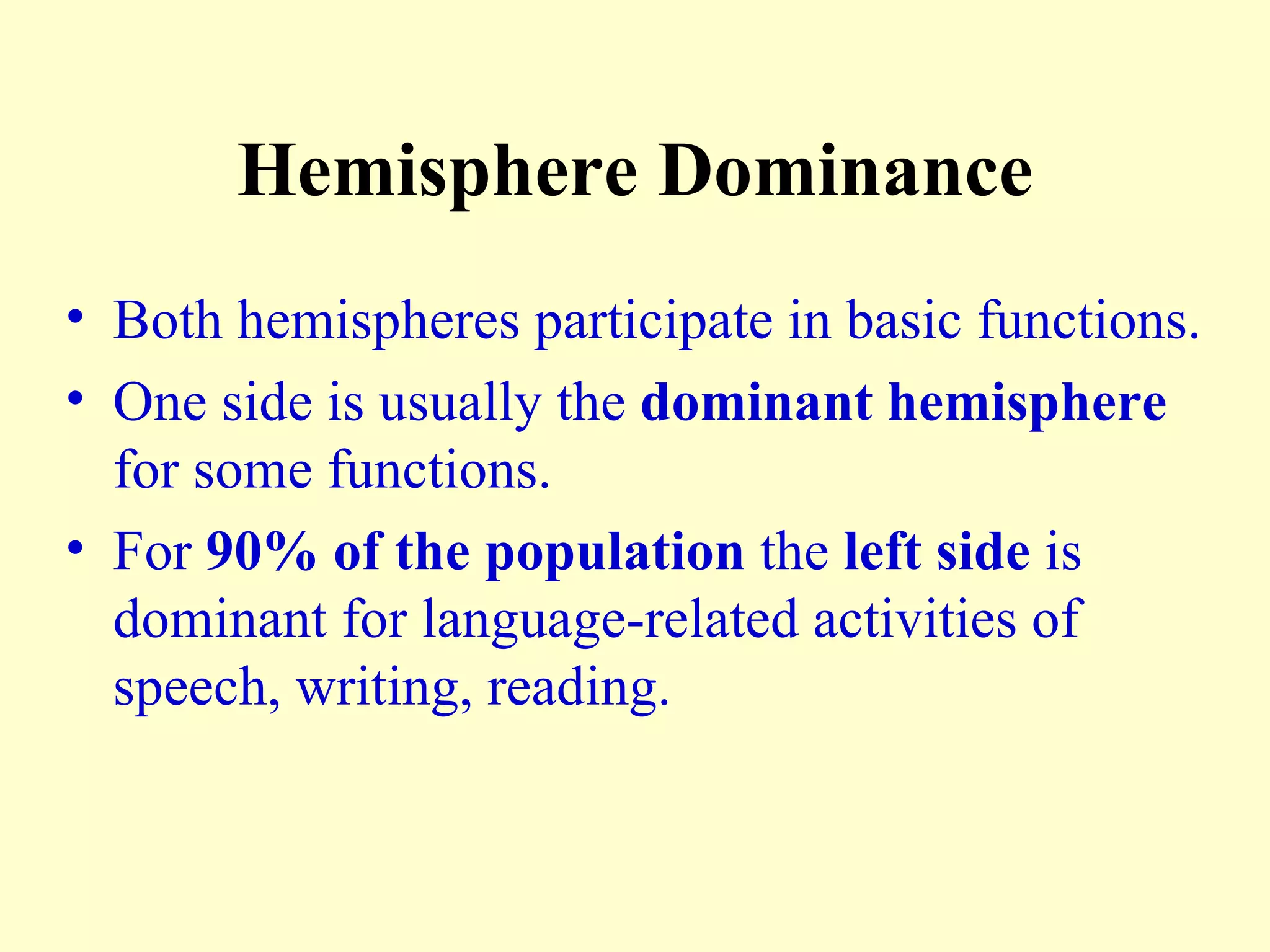 Hemisphere Dominance Both hemispheres participate in basic functions. One side is usually the  dominant hemisphere  for some functions. For  90% of the population  the  left side  is dominant for language-related activities of speech, writing, reading. 