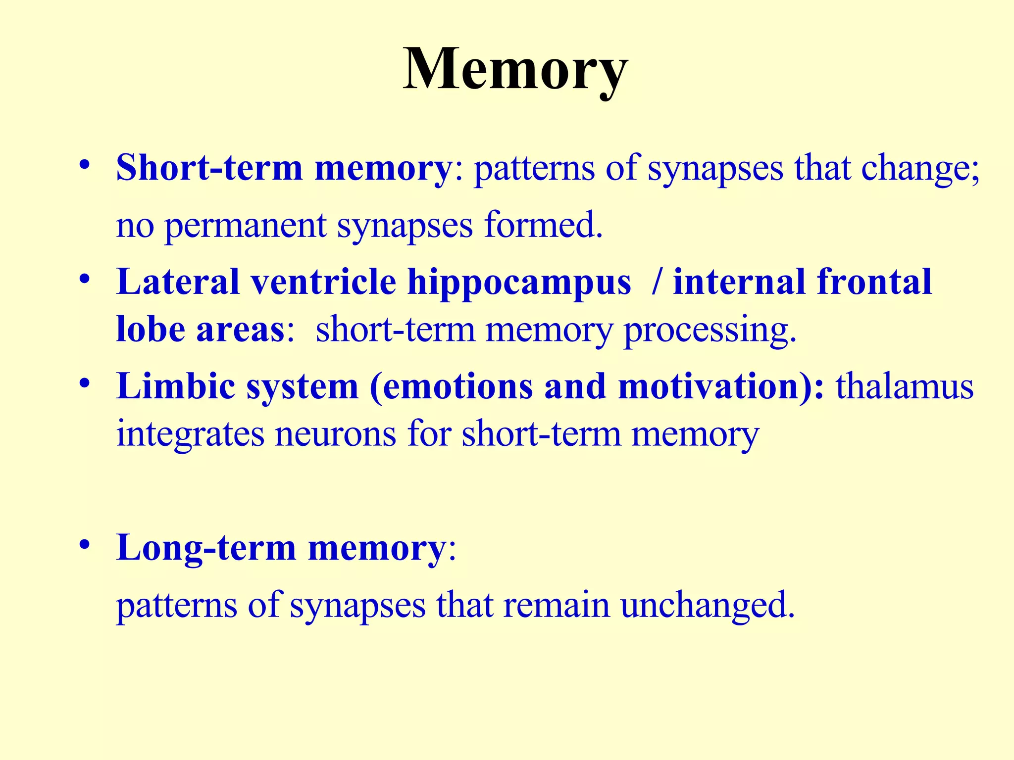 Memory Short-term memory : patterns of synapses that change; no permanent synapses formed. Lateral ventricle hippocampus  / internal frontal lobe areas :  short-term memory processing.  Limbic system (emotions and motivation):  thalamus integrates neurons for short-term memory Long-term memory :  patterns of synapses that remain unchanged. 