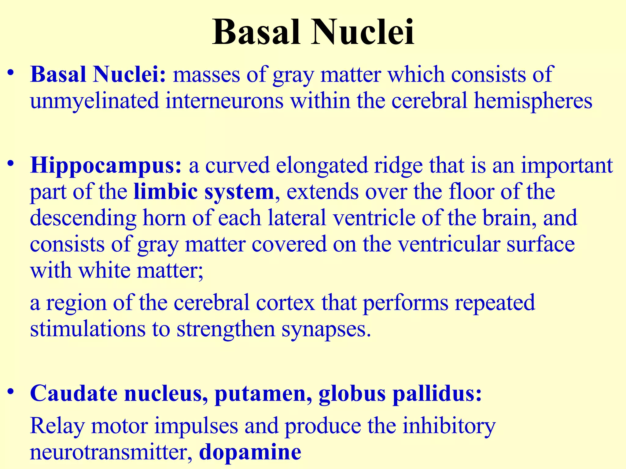 Basal Nuclei Basal Nuclei:  masses of gray matter which consists of unmyelinated interneurons within the cerebral hemispheres Hippocampus:  a curved elongated ridge that is an important part of the  limbic system , extends over the floor of the descending horn of each lateral ventricle of the brain, and consists of gray matter covered on the ventricular surface with white matter; a region of the cerebral cortex that performs repeated stimulations to strengthen synapses. Caudate nucleus, putamen, globus pallidus:  Relay motor impulses and produce the inhibitory neurotransmitter,  dopamine 