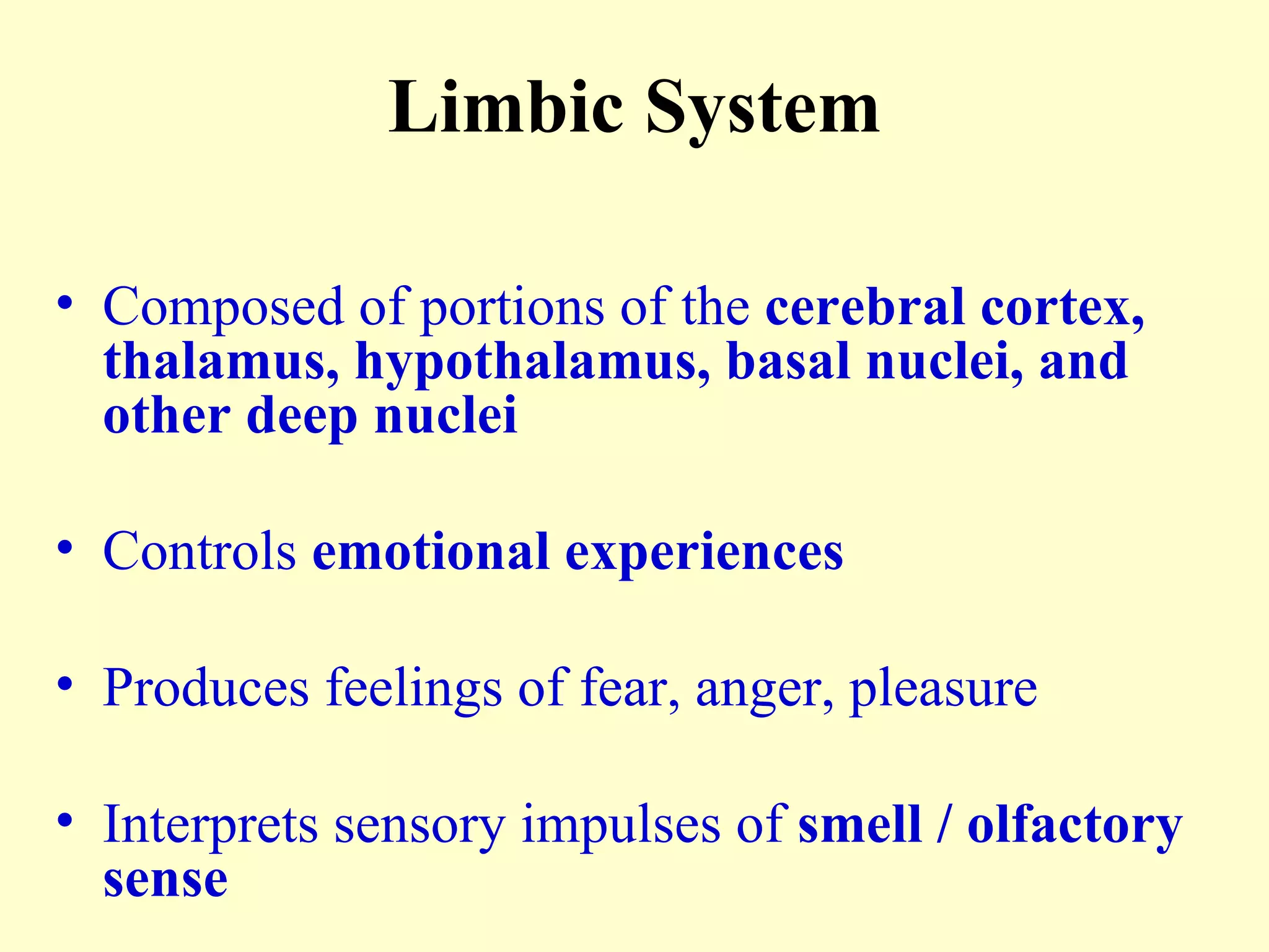 Limbic System Composed of portions of the  cerebral cortex, thalamus, hypothalamus, basal nuclei, and other deep nuclei Controls  emotional experiences Produces feelings of fear, anger, pleasure Interprets sensory impulses of  smell / olfactory sense 