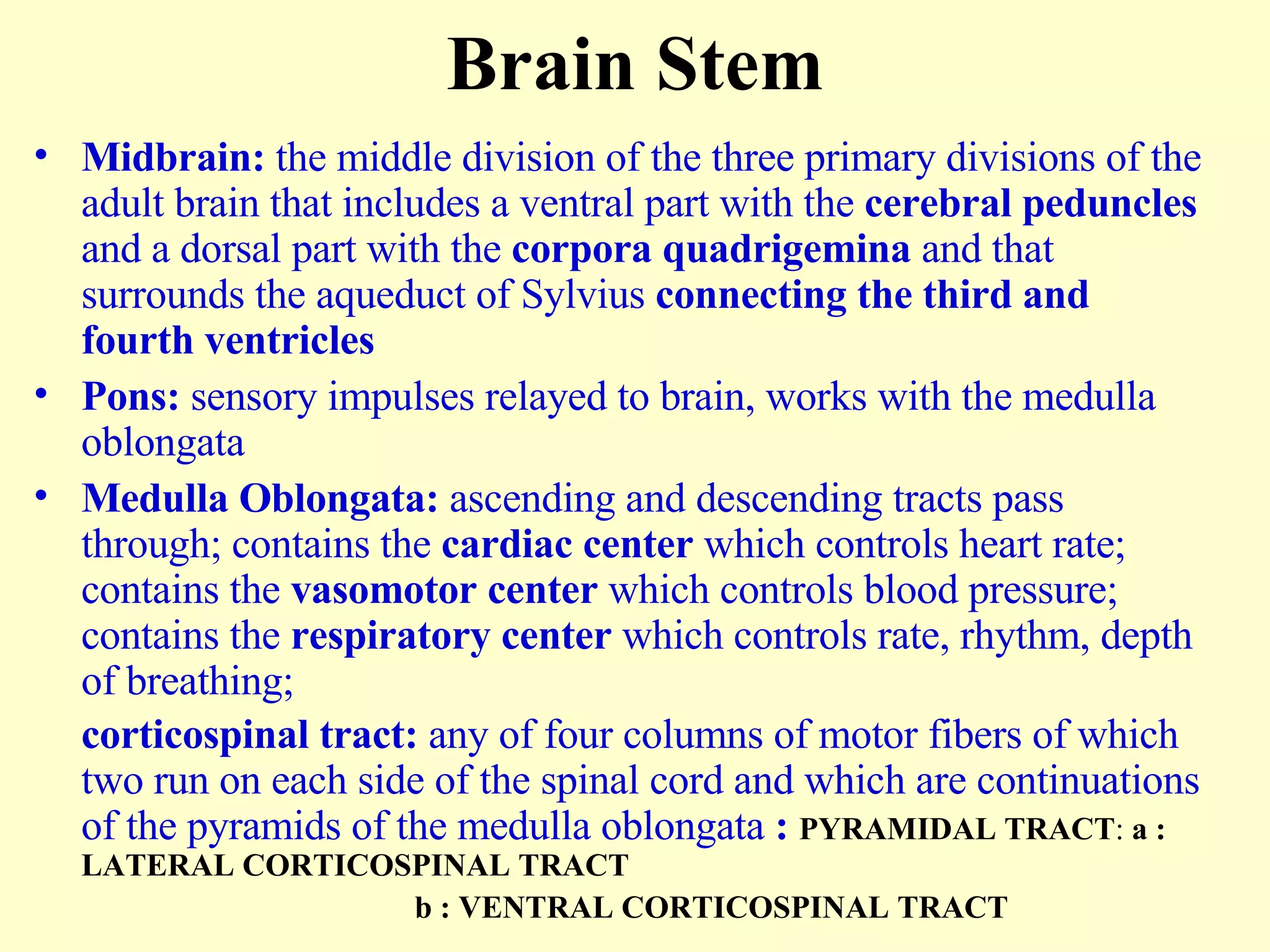 Brain Stem Midbrain:  the middle division of the three primary divisions of the adult brain that includes a ventral part with the  cerebral peduncles  and a dorsal part with the  corpora quadrigemina  and that surrounds the aqueduct of Sylvius  connecting the third and fourth ventricles Pons:  sensory impulses relayed to brain, works with the medulla oblongata Medulla Oblongata:  ascending and descending tracts pass through; contains the  cardiac center  which controls heart rate; contains the  vasomotor center  which controls blood pressure; contains the  respiratory center  which controls rate, rhythm, depth of breathing; corticospinal tract:  any of four columns of motor fibers of which two run on each side of the spinal cord and which are continuations of the pyramids of the medulla oblongata  :  PYRAMIDAL TRACT :  a   : LATERAL CORTICOSPINAL TRACT   b   : VENTRAL CORTICOSPINAL TRACT   