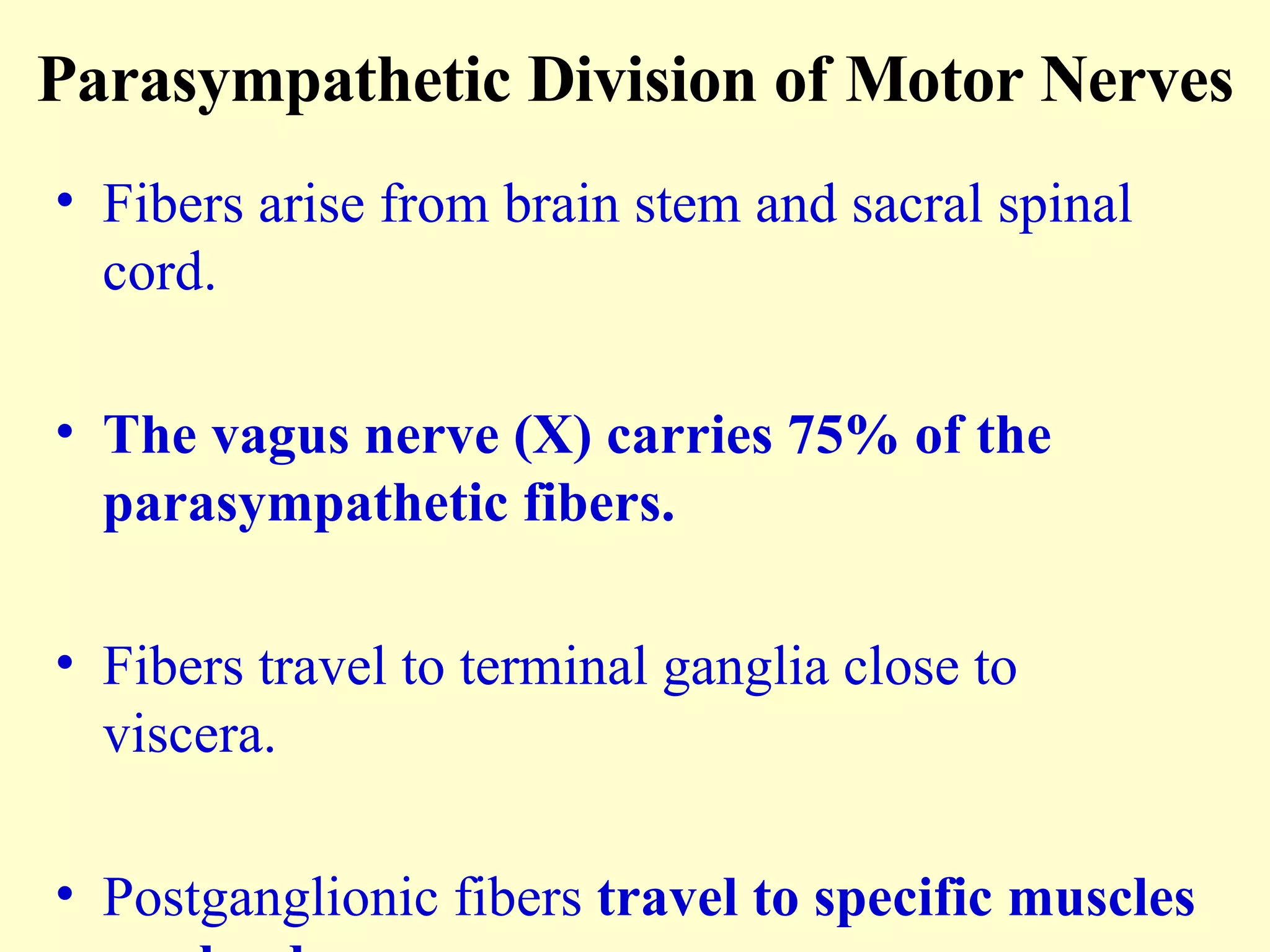 Parasympathetic Division of Motor Nerves Fibers arise from brain stem and sacral spinal cord. The vagus nerve (X) carries 75% of the parasympathetic fibers. Fibers travel to terminal ganglia close to viscera. Postganglionic fibers  travel to specific muscles or glands.  