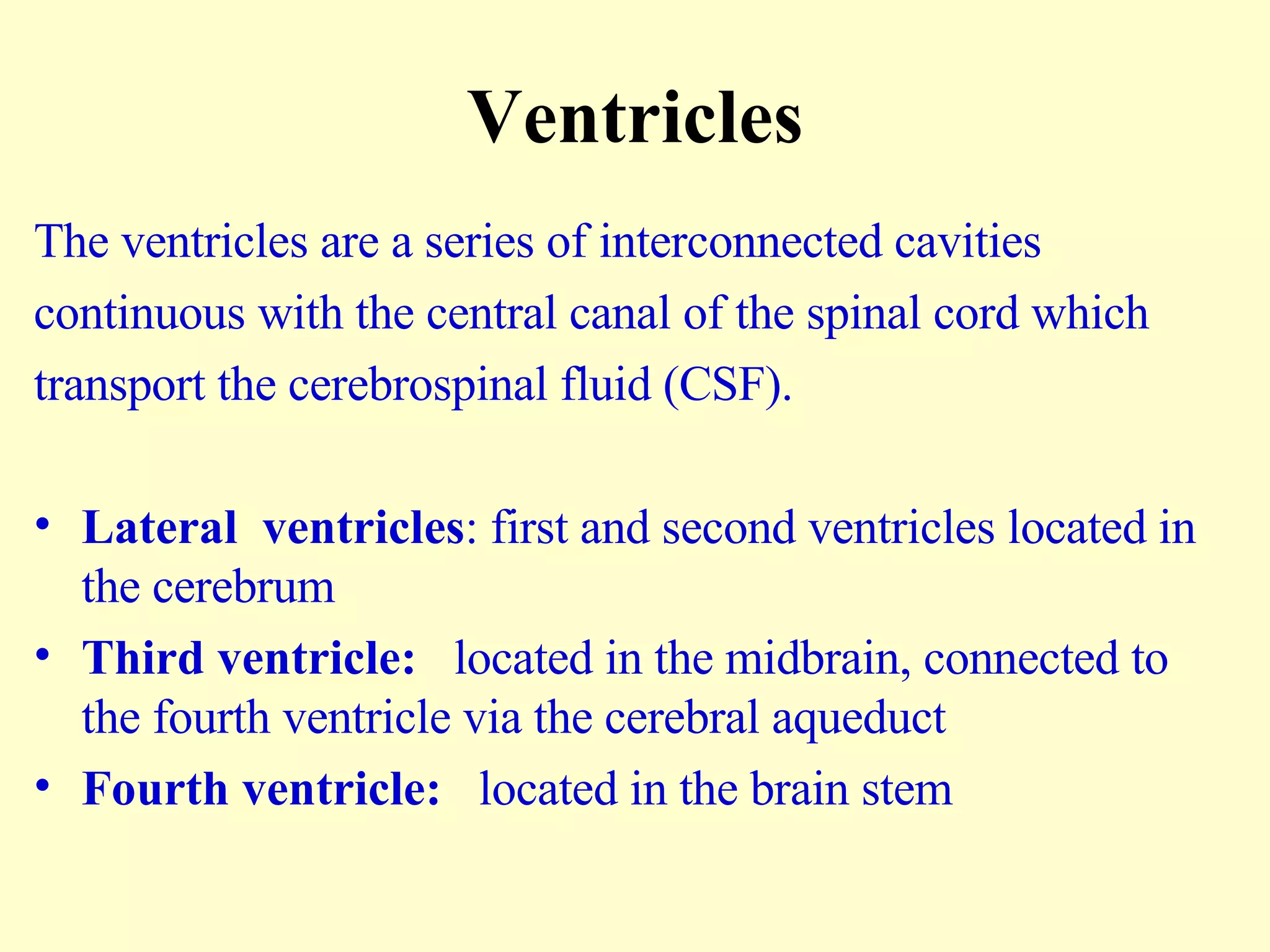 Ventricles The ventricles are a series of interconnected cavities continuous with the central canal of the spinal cord which  transport the cerebrospinal fluid (CSF). Lateral  ventricles : first and second ventricles located in the cerebrum Third ventricle:  located in the midbrain, connected to the fourth ventricle via the cerebral aqueduct Fourth ventricle:  located in the brain stem 