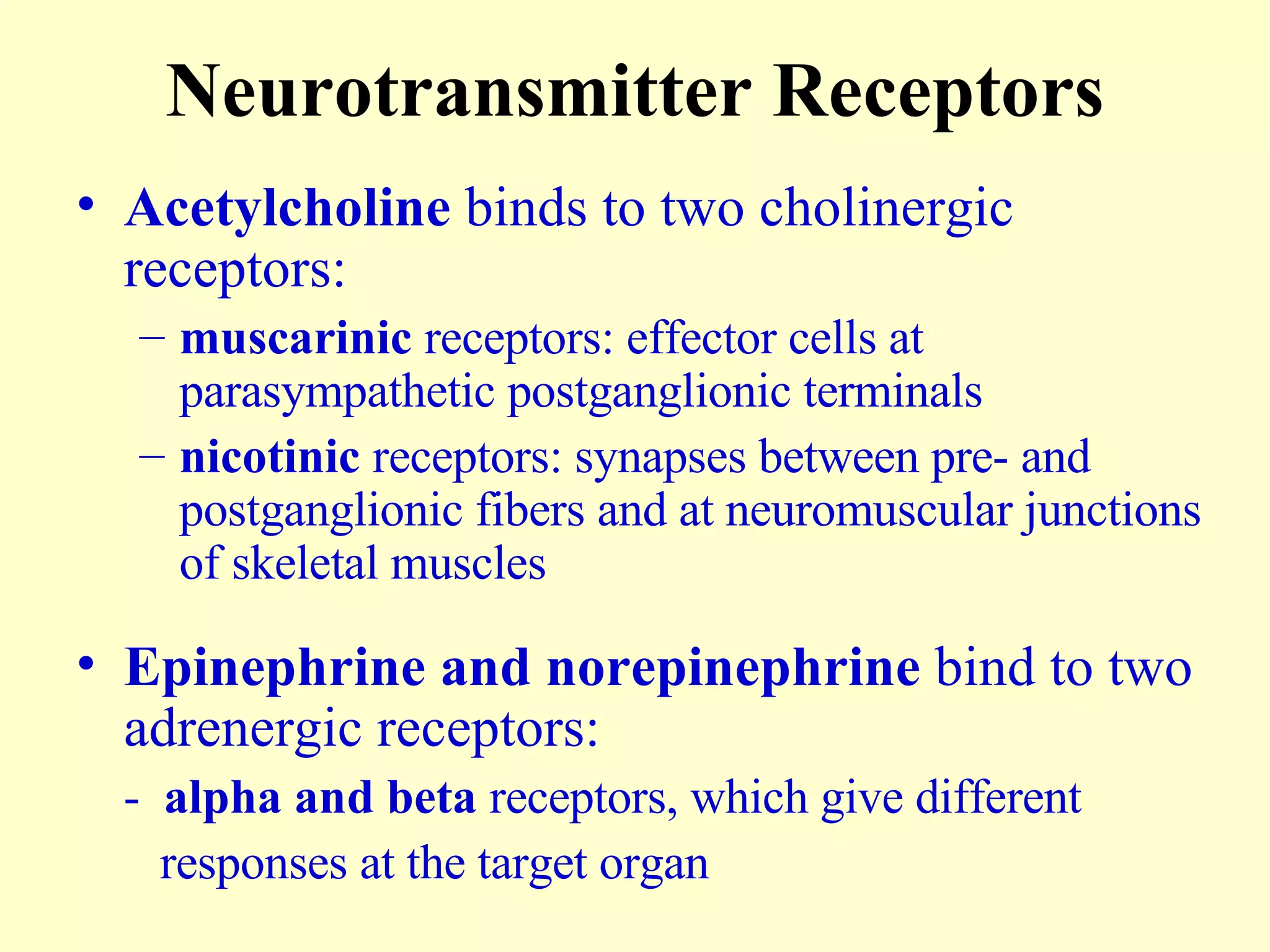 Neurotransmitter Receptors Acetylcholine  binds to two cholinergic receptors: muscarinic  receptors: effector cells at parasympathetic postganglionic terminals nicotinic  receptors: synapses between pre- and postganglionic fibers and at neuromuscular junctions of skeletal muscles Epinephrine and norepinephrine  bind to two adrenergic receptors: -  alpha and beta  receptors, which give different    responses at the target organ 