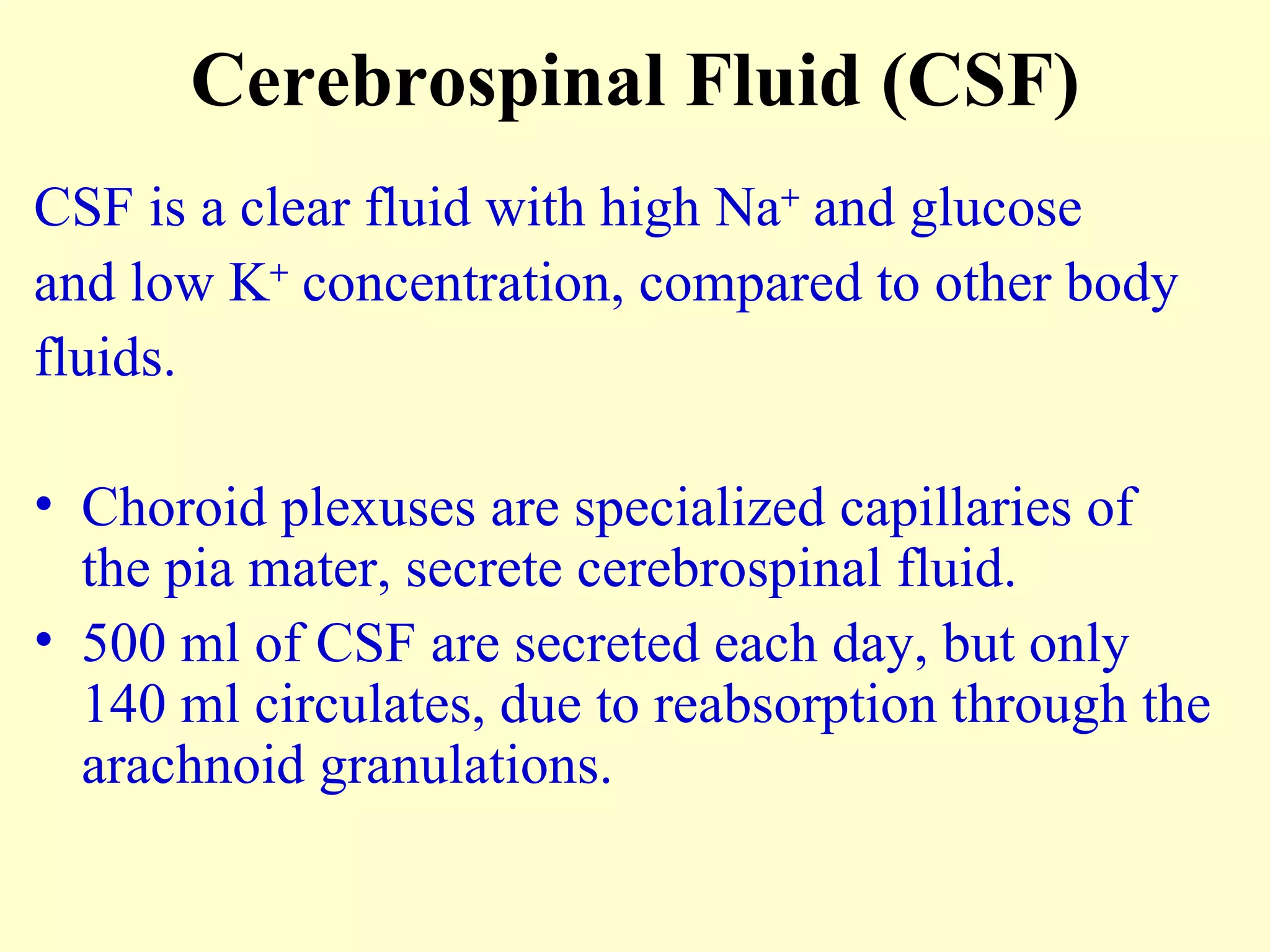 Cerebrospinal Fluid (CSF) CSF is a clear fluid with high Na +  and glucose  and low K +  concentration, compared to other body  fluids. Choroid plexuses are specialized capillaries of the pia mater, secrete cerebrospinal fluid. 500 ml of CSF are secreted each day, but only 140 ml circulates, due to reabsorption through the arachnoid granulations. 