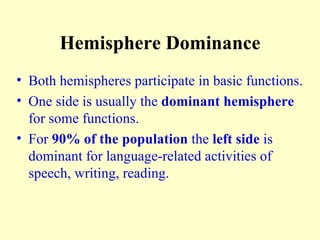 Hemisphere Dominance Both hemispheres participate in basic functions. One side is usually the  dominant hemisphere  for some functions. For  90% of the population  the  left side  is dominant for language-related activities of speech, writing, reading. 
