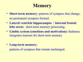 Memory Short-term memory : patterns of synapses that change; no permanent synapses formed. Lateral ventricle hippocampus  / internal frontal lobe areas :  short-term memory processing.  Limbic system (emotions and motivation):  thalamus integrates neurons for short-term memory Long-term memory :  patterns of synapses that remain unchanged. 