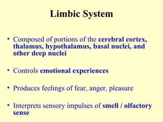 Limbic System Composed of portions of the  cerebral cortex, thalamus, hypothalamus, basal nuclei, and other deep nuclei Controls  emotional experiences Produces feelings of fear, anger, pleasure Interprets sensory impulses of  smell / olfactory sense 