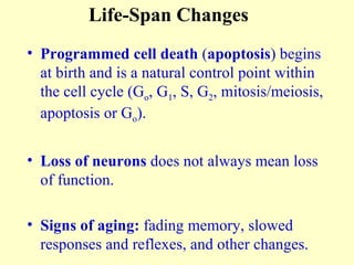 Programmed cell death  ( apoptosis ) begins at birth and is a natural control point within the cell cycle (G o , G 1 , S, G 2 , mitosis/meiosis, apoptosis or G o ). Loss of neurons  does not always mean loss of function. Signs of aging:  fading memory, slowed responses and reflexes, and other changes. Life-Span Changes 