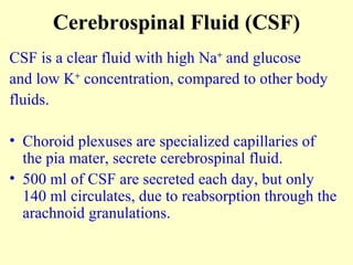 Cerebrospinal Fluid (CSF) CSF is a clear fluid with high Na +  and glucose  and low K +  concentration, compared to other body  fluids. Choroid plexuses are specialized capillaries of the pia mater, secrete cerebrospinal fluid. 500 ml of CSF are secreted each day, but only 140 ml circulates, due to reabsorption through the arachnoid granulations. 