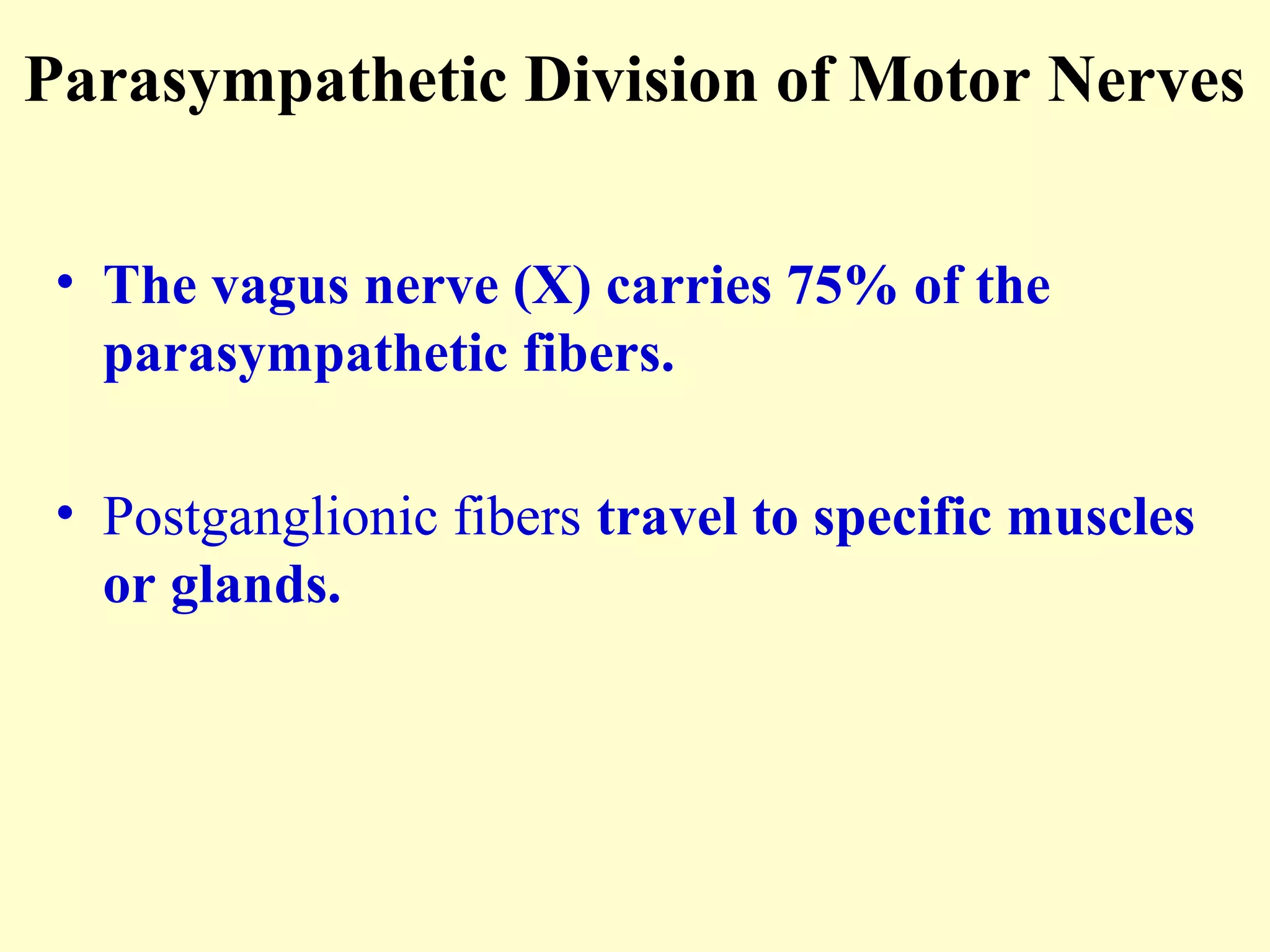 Parasympathetic Division of Motor Nerves
• The vagus nerve (X) carries 75% of the
parasympathetic fibers.
• Postganglionic fibers travel to specific muscles
or glands.
 