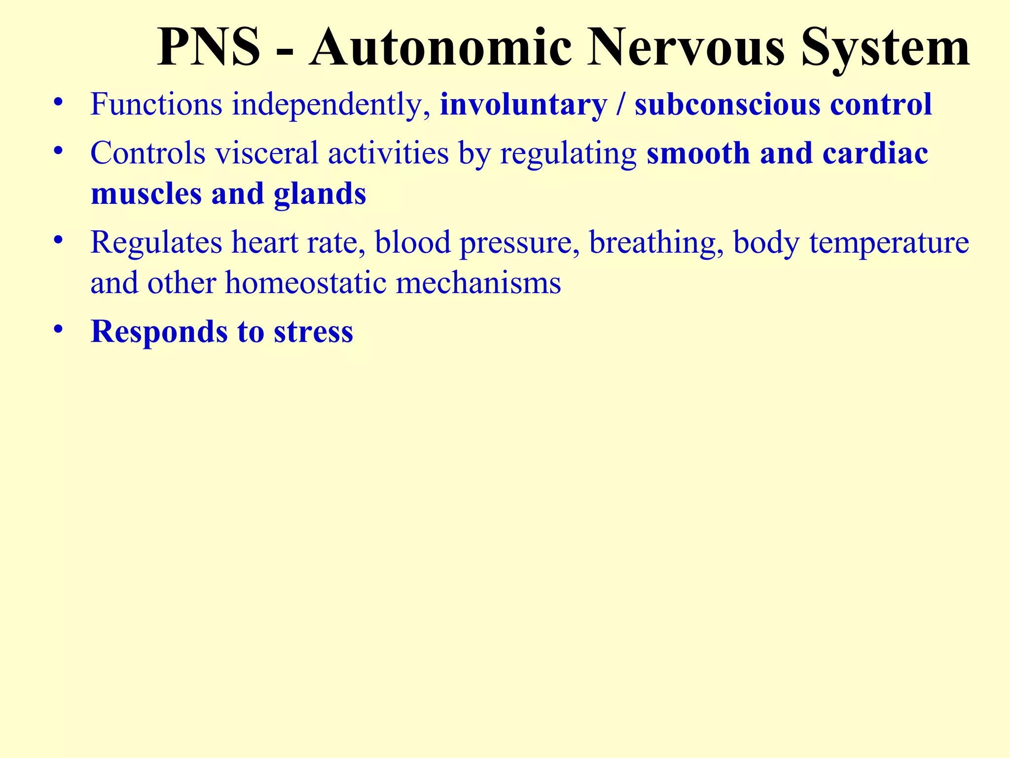 PNS - Autonomic Nervous System
• Functions independently, involuntary / subconscious control
• Controls visceral activities by regulating smooth and cardiac
muscles and glands
• Regulates heart rate, blood pressure, breathing, body temperature
and other homeostatic mechanisms
• Responds to stress
 