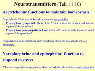 Neurotransmitters (Tab. 11.10)
Acetylcholine functions to maintain homeostasis.
Preganglionic fibers are cholinergic and secrete acetylcholine:
• Preganglionic sympathetic fibers of the ANS arise from the thoracic and lumbar
regions of the spinal cord.
• Preganglionic parasympathetic fibers of the ANS arise from the brain and sacral
region of the spinal cord.
Postganglionic parasympathetic and sympathetic fibers of sweat glands are also
cholinergic.
Norepinephrine and epinephrine function to
respond to stress
All other postganglionic sympathetic fibers are adrenergic and secrete norepinephrine
 