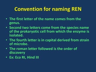 Convention for naming REN
• The first letter of the name comes from the
genus.
• Second two letters come from the species name
of the prokaryotic cell from which the enzyme is
isolated.
• The fourth letter is in capital derived from strain
of microbe.
• The roman letter followed is the order of
discovery
• Ex: Eco RI, Hind III
 