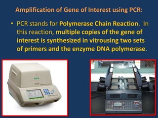 Amplification of Gene of Interest using PCR:
• PCR stands for Polymerase Chain Reaction. In
this reaction, multiple copies of the gene of
interest is synthesized in vitrousing two sets
of primers and the enzyme DNA polymerase.
 