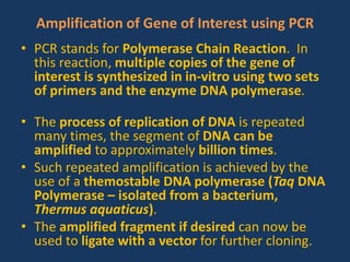 Amplification of Gene of Interest using PCR
• PCR stands for Polymerase Chain Reaction. In
this reaction, multiple copies of the gene of
interest is synthesized in in-vitro using two sets
of primers and the enzyme DNA polymerase.
• The process of replication of DNA is repeated
many times, the segment of DNA can be
amplified to approximately billion times.
• Such repeated amplification is achieved by the
use of a themostable DNA polymerase (Taq DNA
Polymerase – isolated from a bacterium,
Thermus aquaticus).
• The amplified fragment if desired can now be
used to ligate with a vector for further cloning.
 