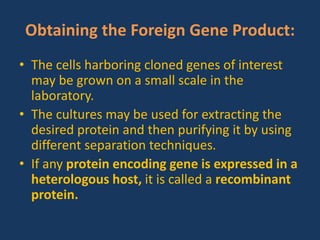 Obtaining the Foreign Gene Product:
• The cells harboring cloned genes of interest
may be grown on a small scale in the
laboratory.
• The cultures may be used for extracting the
desired protein and then purifying it by using
different separation techniques.
• If any protein encoding gene is expressed in a
heterologous host, it is called a recombinant
protein.
 