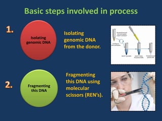 Basic steps involved in process
Isolating
genomic DNA
Isolating
genomic DNA
from the donor.
Fragmenting
this DNA
Fragmenting
this DNA using
molecular
scissors (REN’s).
 