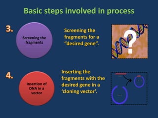 Insertion of
DNA in a
vector
Screening the
fragments
Screening the
fragments for a
“desired gene”.
Inserting the
fragments with the
desired gene in a
‘cloning vector’.
Basic steps involved in process
 