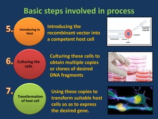 Introducing in
Host
Culturing the
cells
Transformation
of host cell
Introducing the
recombinant vector into
a competent host cell
Culturing these cells to
obtain multiple copies
or clones of desired
DNA fragments
Using these copies to
transform suitable host
cells so as to express
the desired gene.
Basic steps involved in process
 