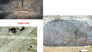 Aplite veins
 
