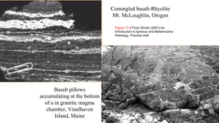 Basalt pillows
accumulating at the bottom
of a in granitic magma
chamber, Vinalhaven
Island, Maine
Comingled basalt-Rhyolite
Mt. McLoughlin, Oregon
Figure 11.8 From Winter (2001) An
Introduction to Igneous and Metamorphic
Petrology. Prentice Hall
 