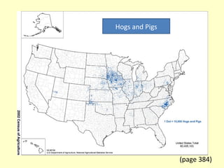 Hogs and Pigs
(page 384)
 