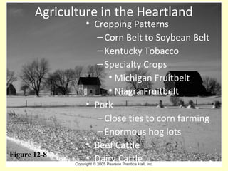 Agriculture in the Heartland
• Cropping Patterns
–Corn Belt to Soybean Belt
–Kentucky Tobacco
–Specialty Crops
• Michigan Fruitbelt
• Niagra Fruitbelt
• Pork
–Close ties to corn farming
–Enormous hog lots
• Beef Cattle
• Dairy CattleFigure 12-8
 