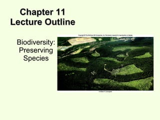 Chapter 11 Lecture Outline Biodiversity: Preserving Species 