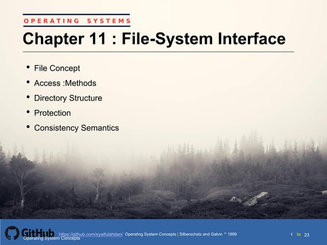 Ch11 file system interface | PDF