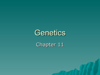 Genetics Chapter 11 