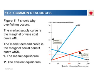 © 2013 Pearson
Figure 11.7 shows why
overfishing occurs.
The market supply curve is
the marginal private cost
curve MC.
The market demand curve is
the marginal social benefit
curve MSB.
1. The market equilibrium.
2. The efficient equilibrium.
11.3 COMMON RESOURCES
 