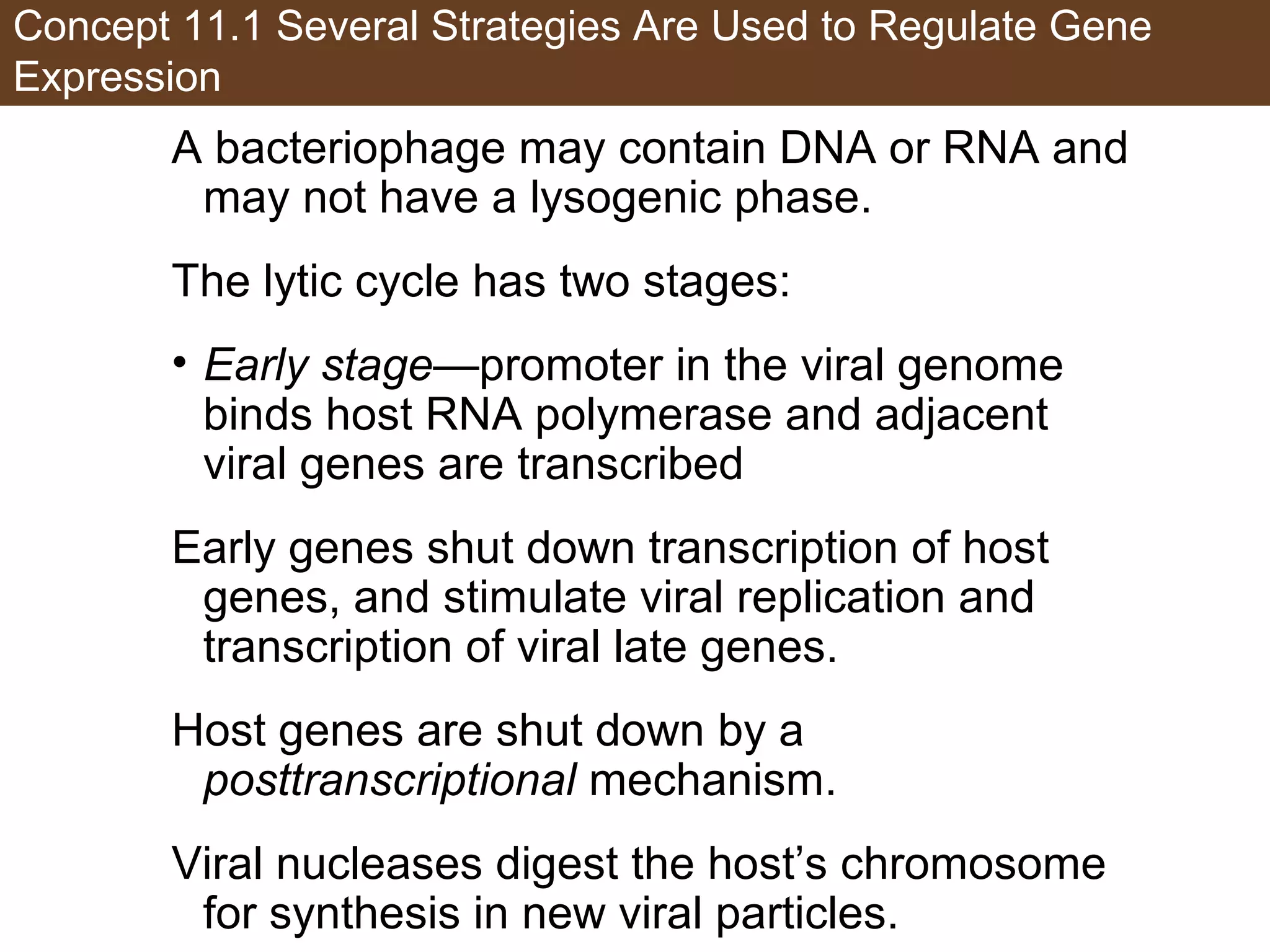 Concept 11.1 Several Strategies Are Used to Regulate Gene
Expression
A bacteriophage may contain DNA or RNA and
may not have a lysogenic phase.
The lytic cycle has two stages:
• Early stage—promoter in the viral genome
binds host RNA polymerase and adjacent
viral genes are transcribed
Early genes shut down transcription of host
genes, and stimulate viral replication and
transcription of viral late genes.
Host genes are shut down by a
posttranscriptional mechanism.
Viral nucleases digest the host’s chromosome
for synthesis in new viral particles.
 
