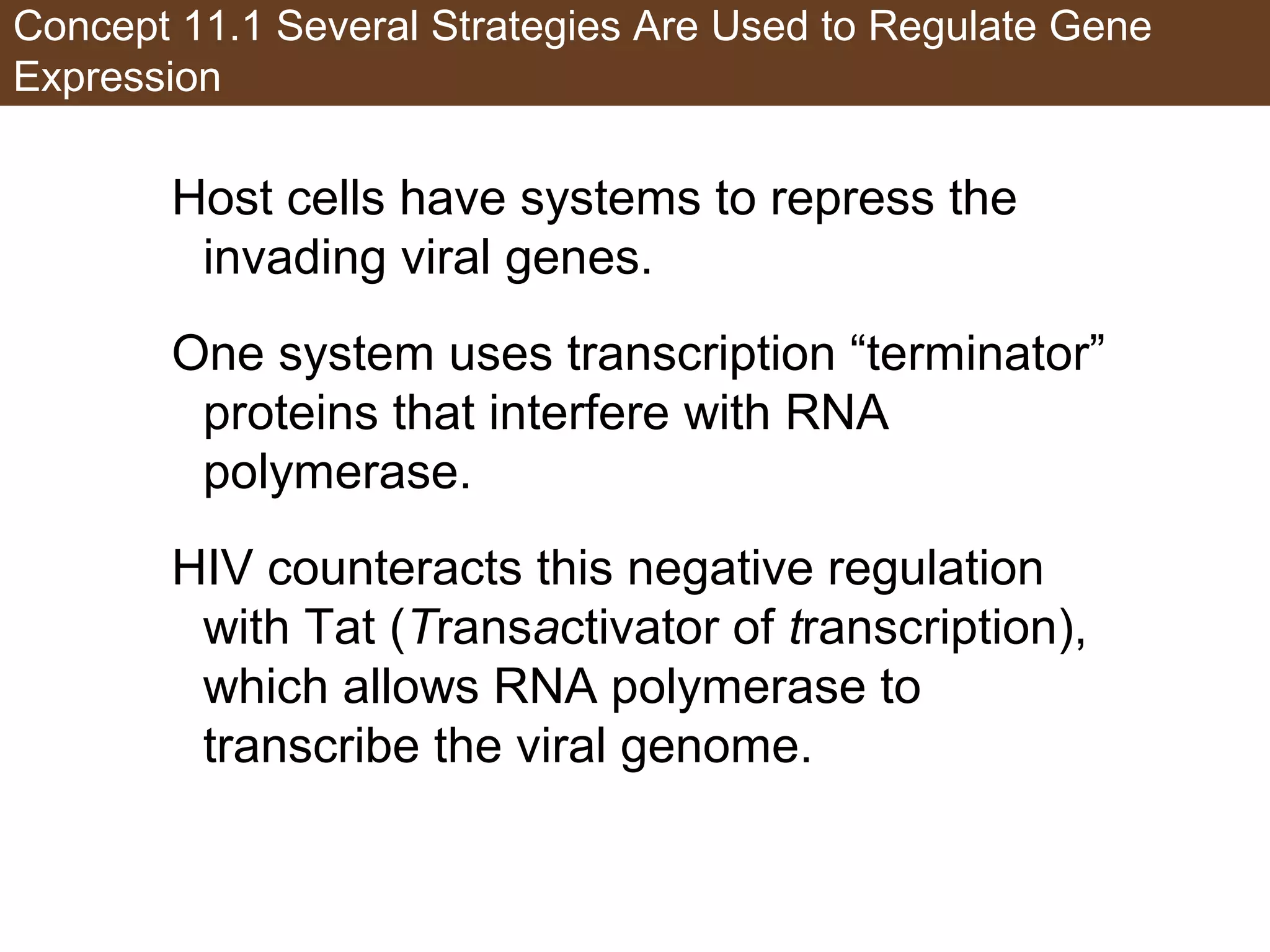 Concept 11.1 Several Strategies Are Used to Regulate Gene
Expression
Host cells have systems to repress the
invading viral genes.
One system uses transcription “terminator”
proteins that interfere with RNA
polymerase.
HIV counteracts this negative regulation
with Tat (Transactivator of transcription),
which allows RNA polymerase to
transcribe the viral genome.
 