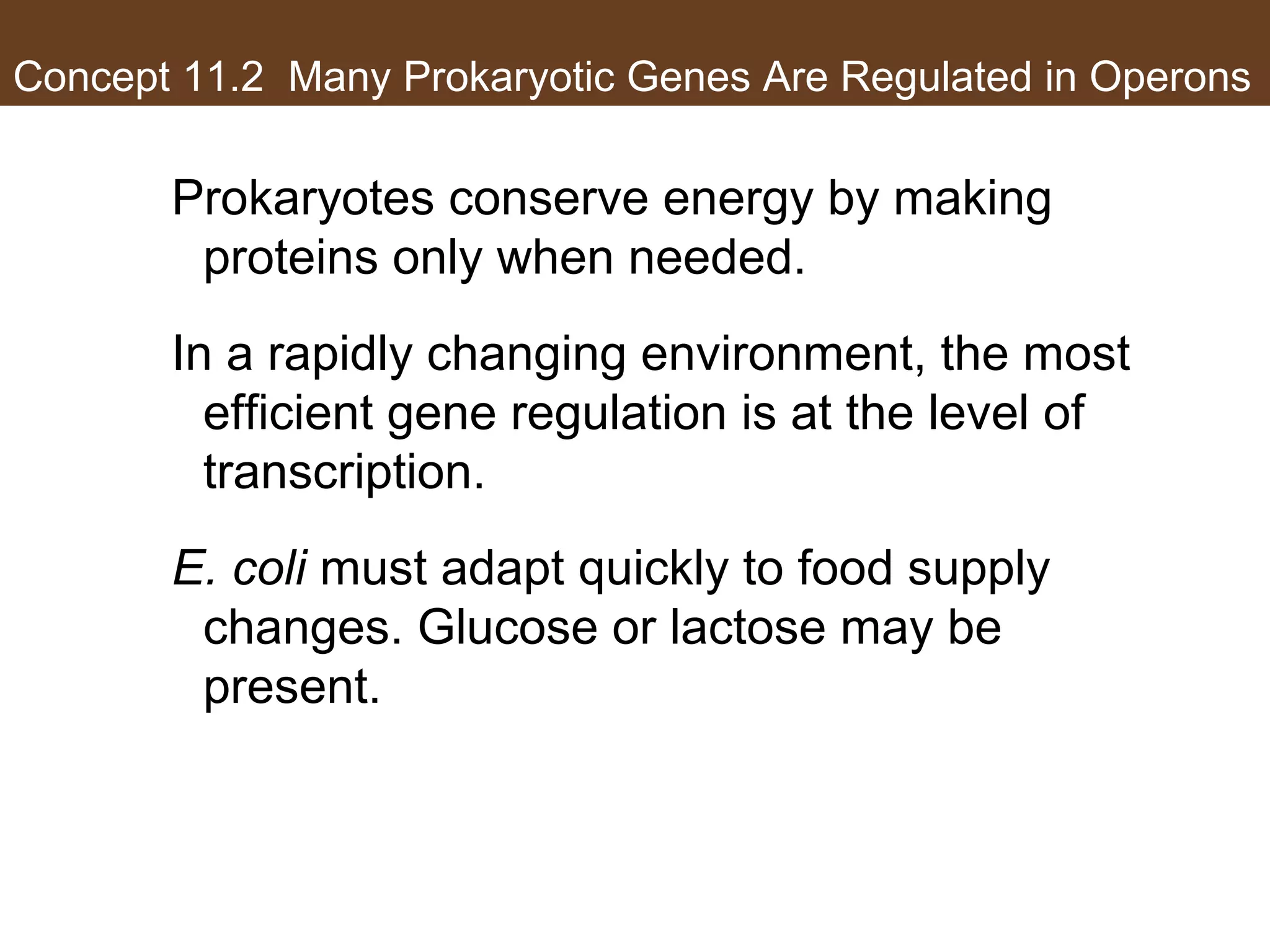 Concept 11.2 Many Prokaryotic Genes Are Regulated in Operons
Prokaryotes conserve energy by making
proteins only when needed.
In a rapidly changing environment, the most
efficient gene regulation is at the level of
transcription.
E. coli must adapt quickly to food supply
changes. Glucose or lactose may be
present.
 