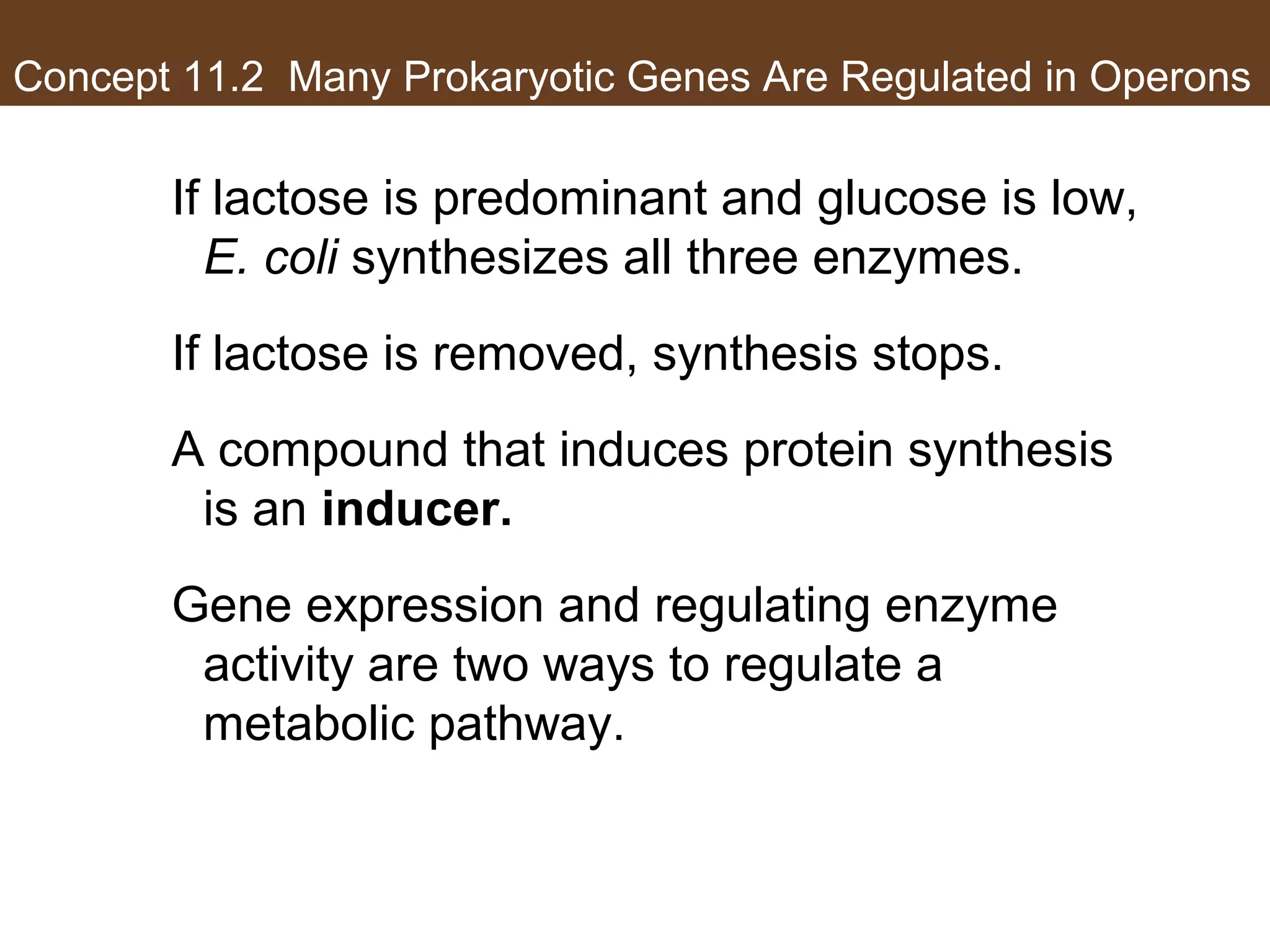 Concept 11.2 Many Prokaryotic Genes Are Regulated in Operons
If lactose is predominant and glucose is low,
E. coli synthesizes all three enzymes.
If lactose is removed, synthesis stops.
A compound that induces protein synthesis
is an inducer.
Gene expression and regulating enzyme
activity are two ways to regulate a
metabolic pathway.
 