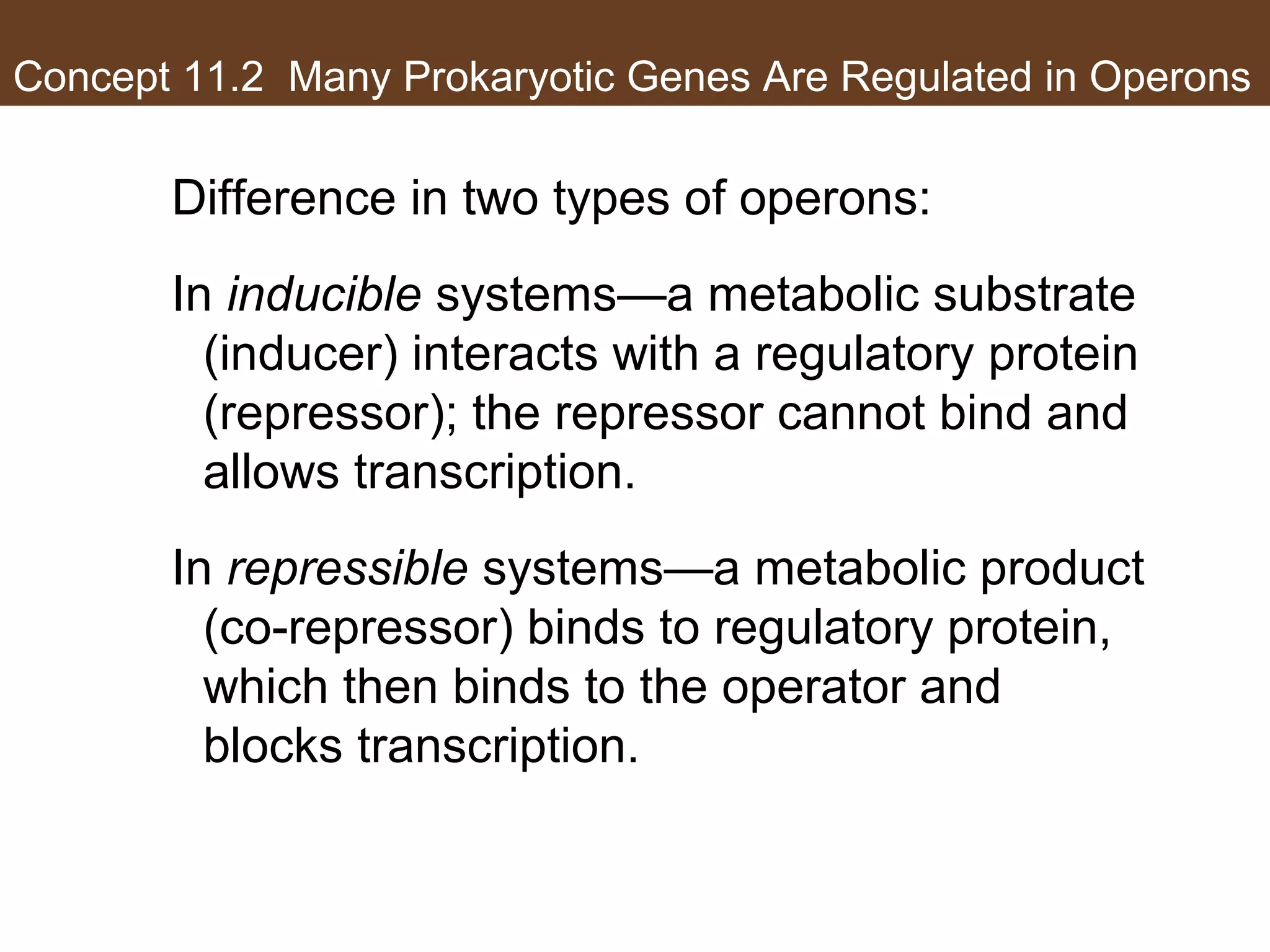 Concept 11.2 Many Prokaryotic Genes Are Regulated in Operons
Difference in two types of operons:
In inducible systems—a metabolic substrate
(inducer) interacts with a regulatory protein
(repressor); the repressor cannot bind and
allows transcription.
In repressible systems—a metabolic product
(co-repressor) binds to regulatory protein,
which then binds to the operator and
blocks transcription.
 