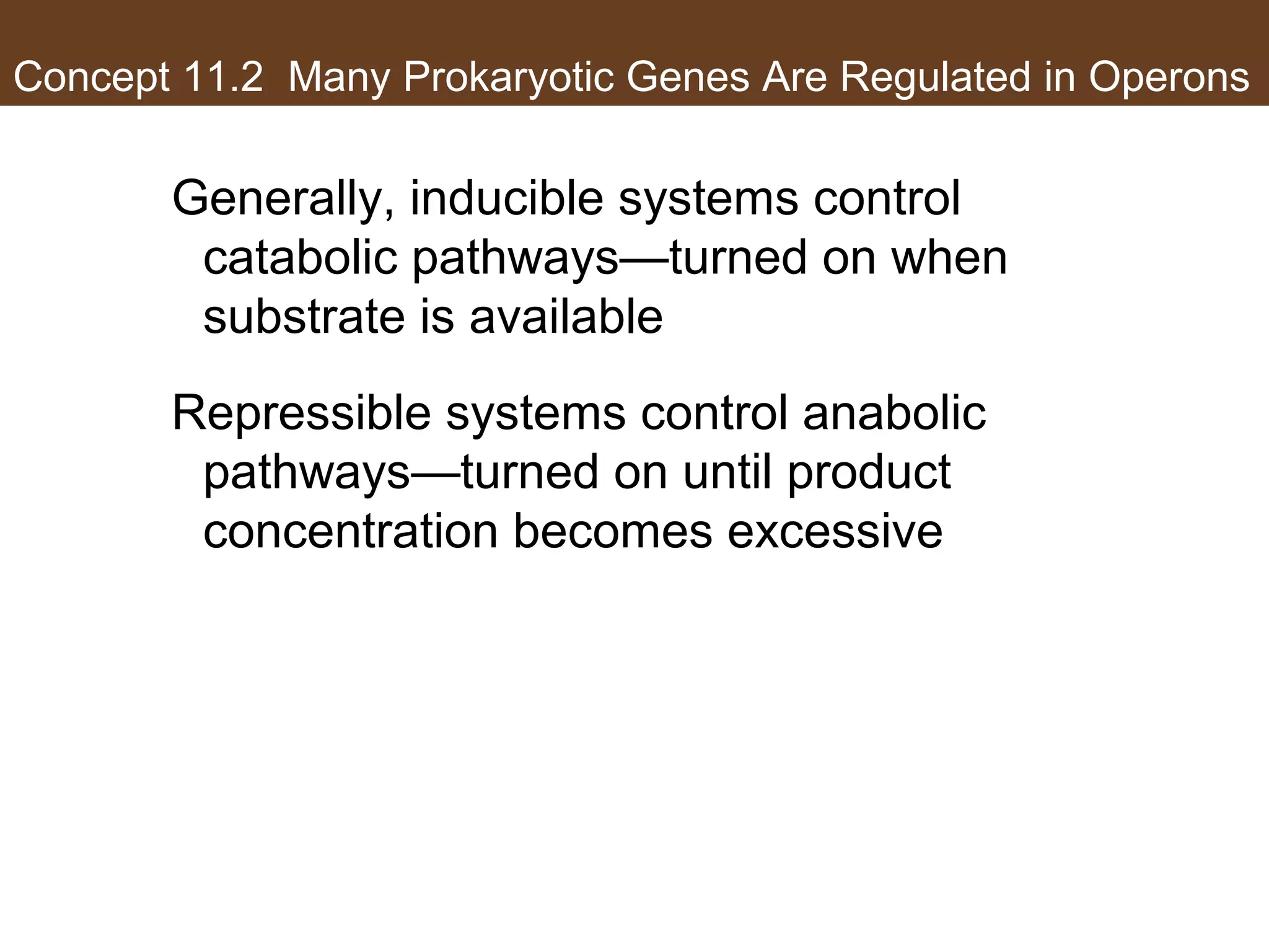 Concept 11.2 Many Prokaryotic Genes Are Regulated in Operons
Generally, inducible systems control
catabolic pathways—turned on when
substrate is available
Repressible systems control anabolic
pathways—turned on until product
concentration becomes excessive
 