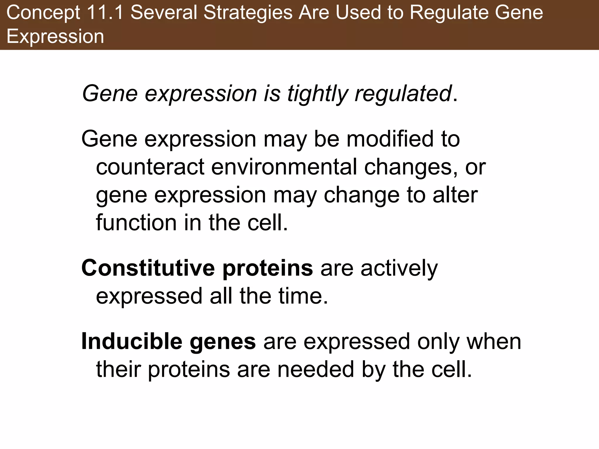 Concept 11.1 Several Strategies Are Used to Regulate Gene
Expression
Gene expression is tightly regulated.
Gene expression may be modified to
counteract environmental changes, or
gene expression may change to alter
function in the cell.
Constitutive proteins are actively
expressed all the time.
Inducible genes are expressed only when
their proteins are needed by the cell.
 