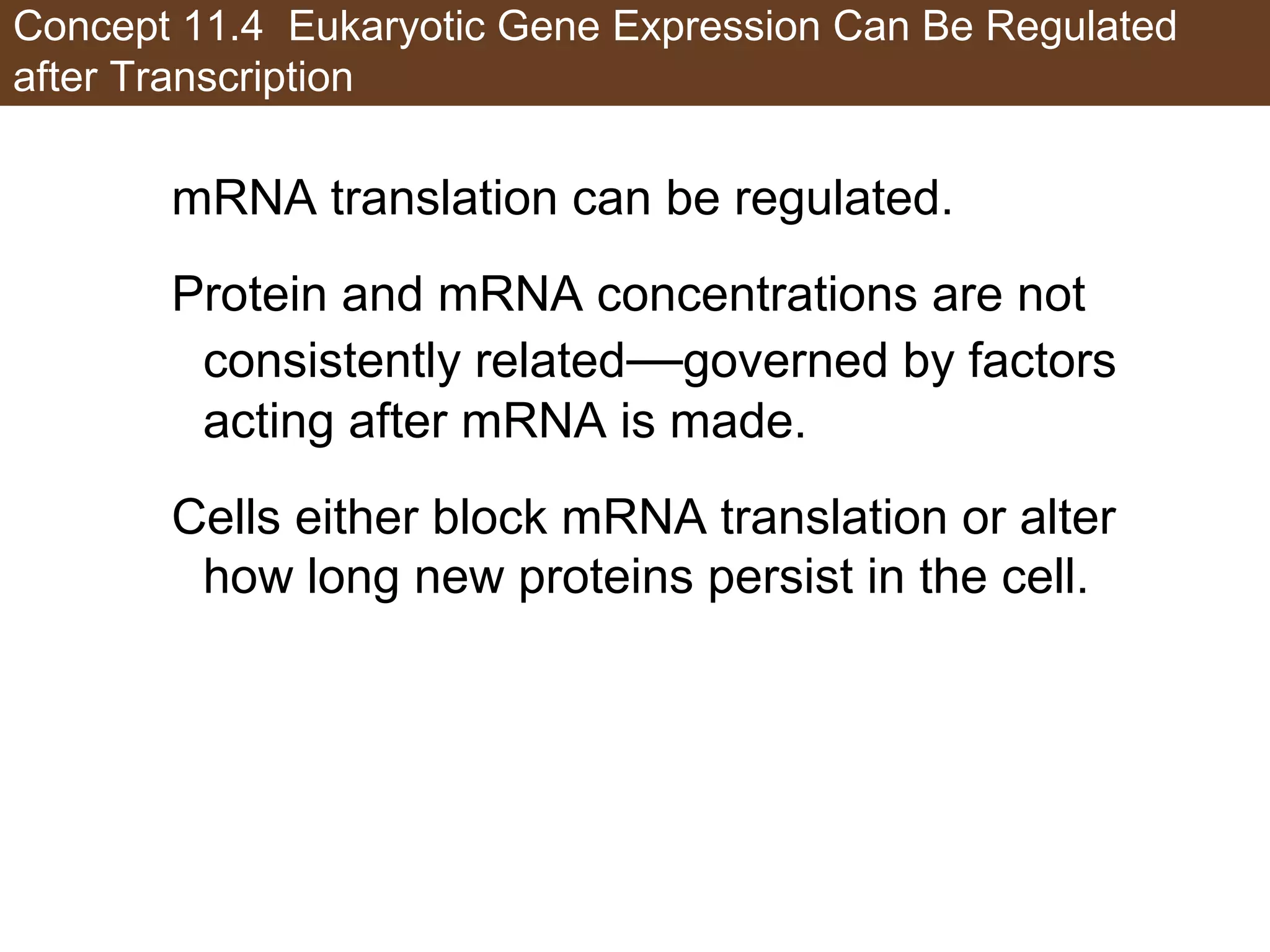 Concept 11.4 Eukaryotic Gene Expression Can Be Regulated
after Transcription
mRNA translation can be regulated.
Protein and mRNA concentrations are not
consistently related—governed by factors
acting after mRNA is made.
Cells either block mRNA translation or alter
how long new proteins persist in the cell.
 