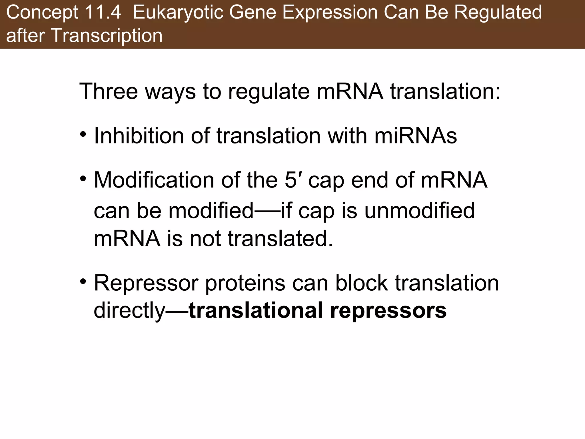 Concept 11.4 Eukaryotic Gene Expression Can Be Regulated
after Transcription
Three ways to regulate mRNA translation:
• Inhibition of translation with miRNAs
• Modification of the 5′ cap end of mRNA
can be modified—if cap is unmodified
mRNA is not translated.
• Repressor proteins can block translation
directly—translational repressors
 