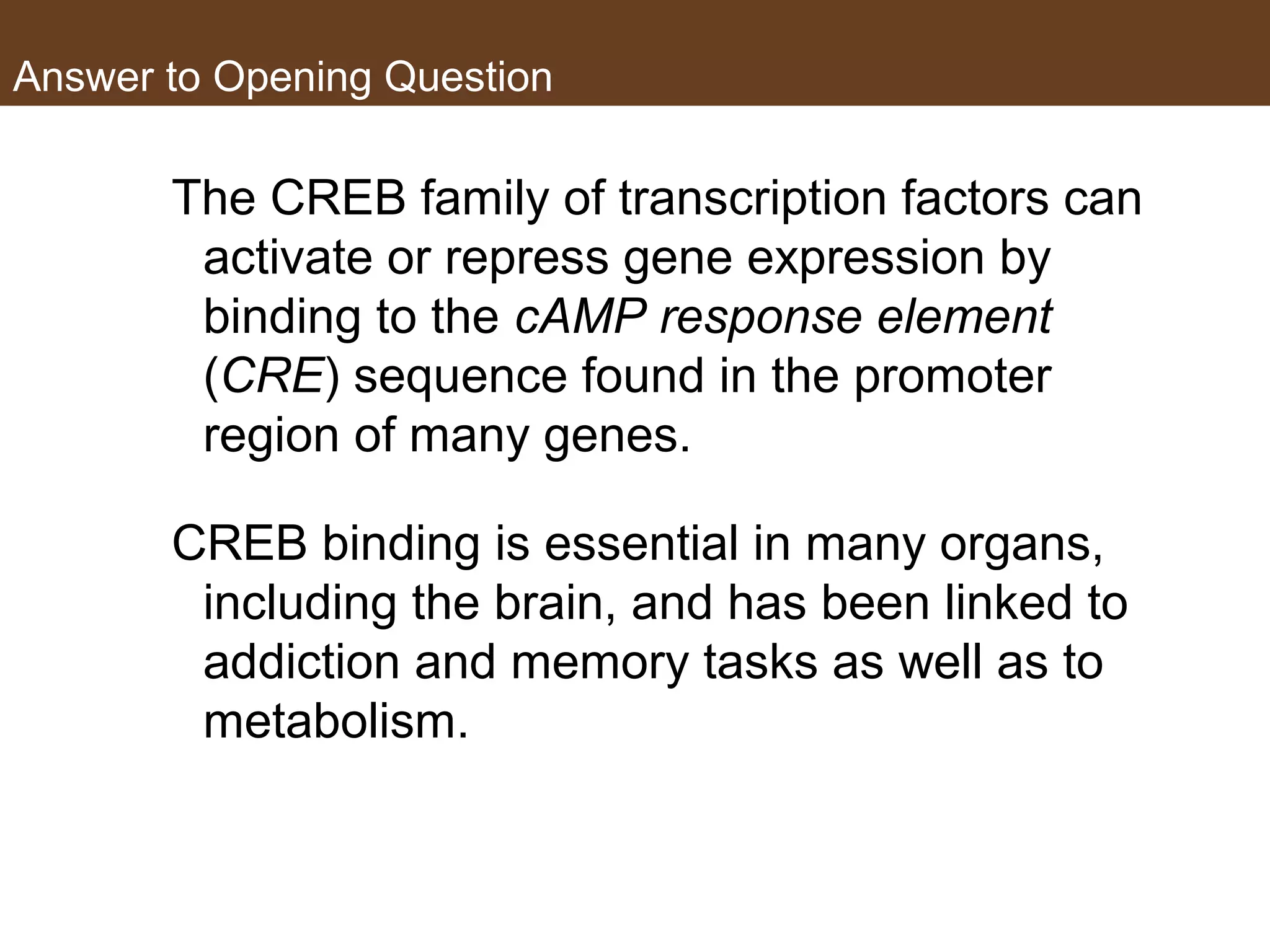 Answer to Opening Question
The CREB family of transcription factors can
activate or repress gene expression by
binding to the cAMP response element
(CRE) sequence found in the promoter
region of many genes.
CREB binding is essential in many organs,
including the brain, and has been linked to
addiction and memory tasks as well as to
metabolism.
 