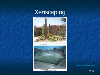 11-28
Xeriscaping
A Phoenix, Arizona
B Las Vegas, Nevada
a: © Desert Crest, LLC; b: USDA
Jump to long description
 