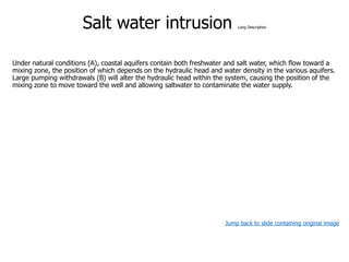 Salt water intrusion Long Description
Under natural conditions (A), coastal aquifers contain both freshwater and salt water, which flow toward a
mixing zone, the position of which depends on the hydraulic head and water density in the various aquifers.
Large pumping withdrawals (B) will alter the hydraulic head within the system, causing the position of the
mixing zone to move toward the well and allowing saltwater to contaminate the water supply.
Jump back to slide containing original image
 