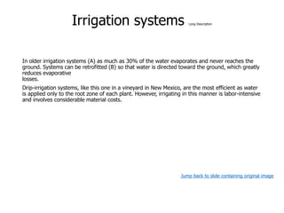 Irrigation systems Long Description
In older irrigation systems (A) as much as 30% of the water evaporates and never reaches the
ground. Systems can be retrofitted (B) so that water is directed toward the ground, which greatly
reduces evaporative
losses.
Drip-irrigation systems, like this one in a vineyard in New Mexico, are the most efficient as water
is applied only to the root zone of each plant. However, irrigating in this manner is labor-intensive
and involves considerable material costs.
Jump back to slide containing original image
 