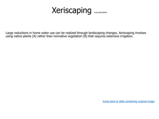 Xeriscaping Long Description
Large reductions in home water use can be realized through landscaping changes. Xeriscaping involves
using native plants (A) rather than nonnative vegetation (B) that requires extensive irrigation.
Jump back to slide containing original image
 