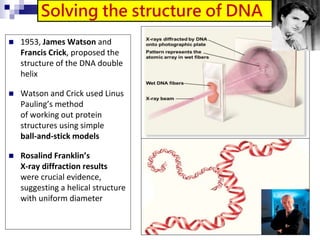 Solving the structure of DNA
 1953, James Watson and
Francis Crick, proposed the
structure of the DNA double
helix
 Watson and Crick used Linus
Pauling’s method
of working out protein
structures using simple
ball-and-stick models
 Rosalind Franklin’s
X-ray diffraction results
were crucial evidence,
suggesting a helical structure
with uniform diameter
14
 