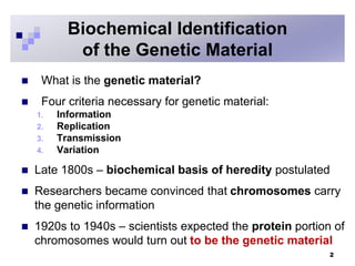  What is the genetic material?
 Four criteria necessary for genetic material:
1. Information
2. Replication
3. Transmission
4. Variation
 Late 1800s – biochemical basis of heredity postulated
 Researchers became convinced that chromosomes carry
the genetic information
 1920s to 1940s – scientists expected the protein portion of
chromosomes would turn out to be the genetic material
2
Biochemical Identification
of the Genetic Material
 